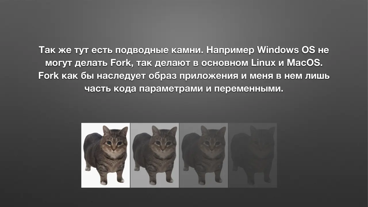 Слайд 10: Так же тут есть подводные камни. Например Windows OS не