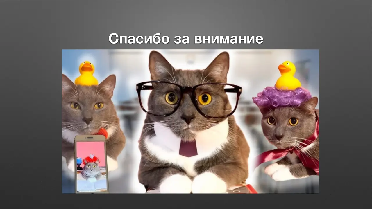 Слайд 20: Спасибо за внимание